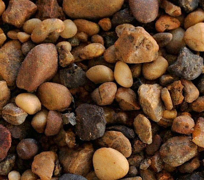 Granza Paraná Tamaño Grande 